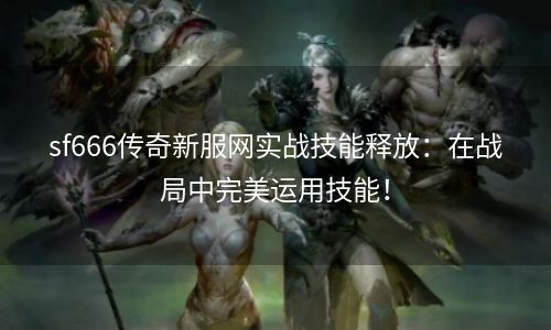 sf666传奇新服网实战技能释放：在战局中完美运用技能！