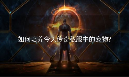 如何培养今天传奇私服中的宠物？