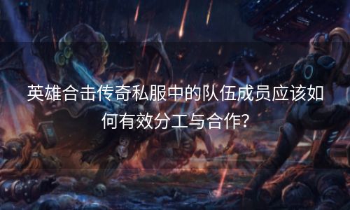 英雄合击传奇私服中的队伍成员应该如何有效分工与合作？