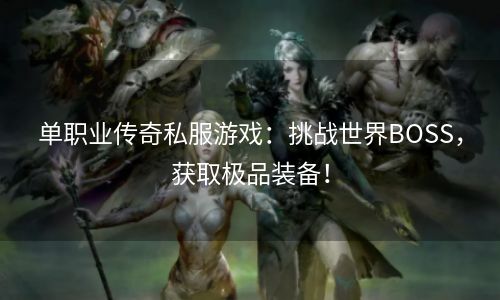 单职业传奇私服游戏：挑战世界BOSS，获取极品装备！