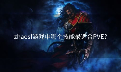 zhaosf游戏中哪个技能最适合PVE？