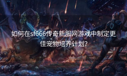 如何在sf666传奇新服网游戏中制定更佳宠物培养计划？