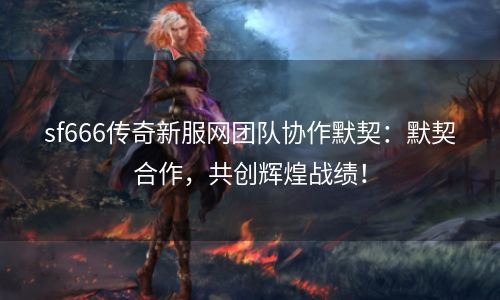 sf666传奇新服网团队协作默契：默契合作，共创辉煌战绩！