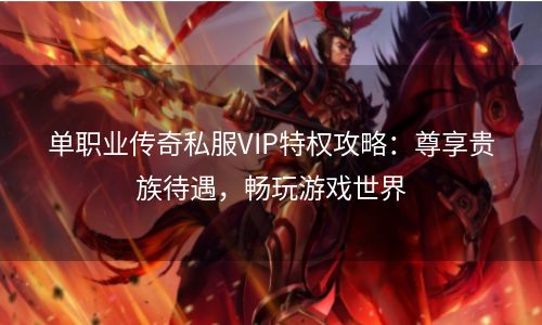 单职业传奇私服VIP特权攻略：尊享贵族待遇，畅玩游戏世界