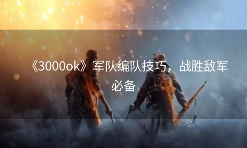 《3000ok》军队编队技巧，战胜敌军必备