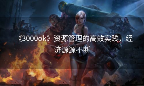 《3000ok》资源管理的高效实践，经济源源不断