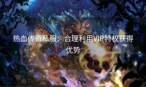 热血传奇私服：合理利用VIP特权获得优势