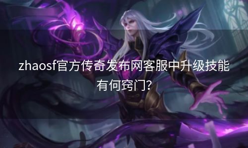 zhaosf官方传奇发布网客服中升级技能有何窍门？