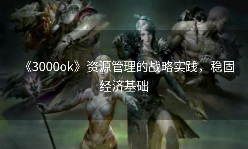 《3000ok》资源管理的战略实践，稳固经济基础