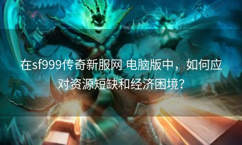 在sf999传奇新服网 电脑版中，如何应对资源短缺和经济困境？