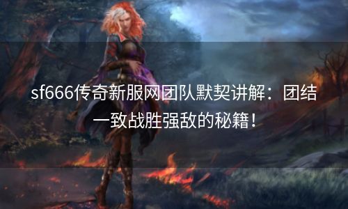 sf666传奇新服网团队默契讲解：团结一致战胜强敌的秘籍！