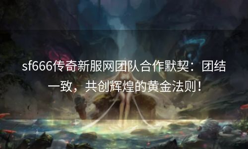 sf666传奇新服网团队合作默契：团结一致，共创辉煌的黄金法则！