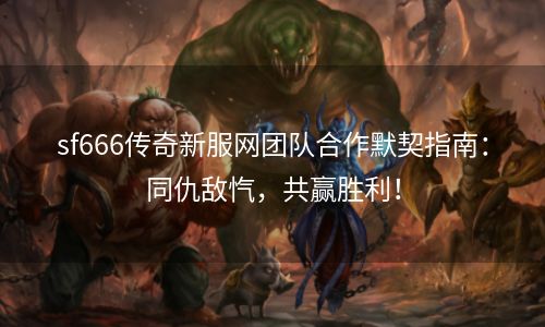 sf666传奇新服网团队合作默契指南：同仇敌忾，共赢胜利！