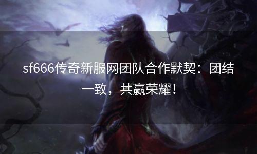 sf666传奇新服网团队合作默契：团结一致，共赢荣耀！