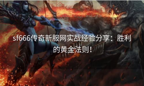 sf666传奇新服网实战经验分享：胜利的黄金法则！