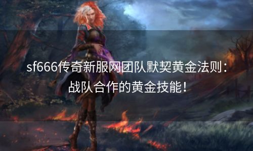 sf666传奇新服网团队默契黄金法则：战队合作的黄金技能！