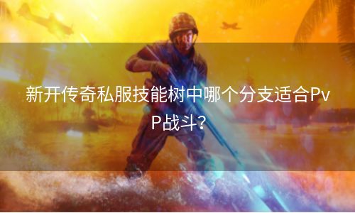 新开传奇私服技能树中哪个分支适合PvP战斗？