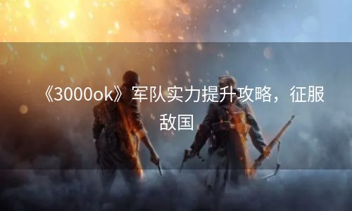 《3000ok》军队实力提升攻略，征服敌国