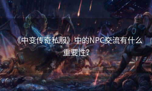 《中变传奇私服》中的NPC交流有什么重要性？