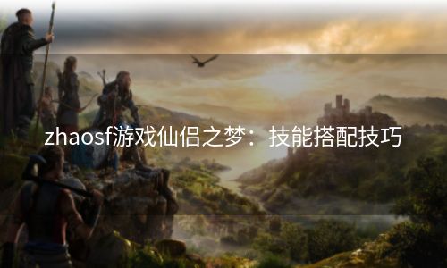 zhaosf游戏仙侣之梦：技能搭配技巧