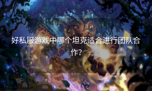 好私服游戏中哪个坦克适合进行团队合作？