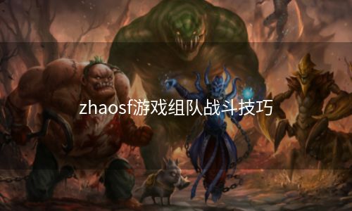 zhaosf游戏组队战斗技巧