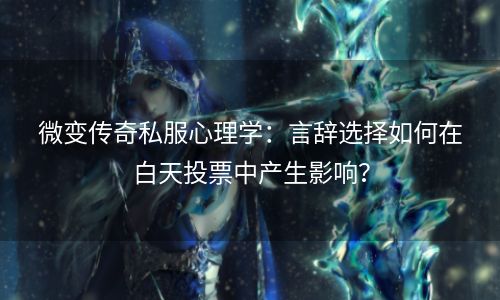 微变传奇私服心理学：言辞选择如何在白天投票中产生影响？