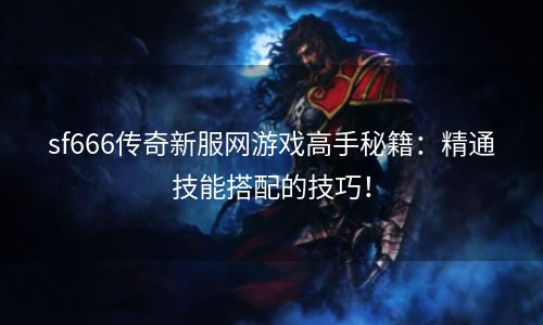 sf666传奇新服网游戏高手秘籍：精通技能搭配的技巧！