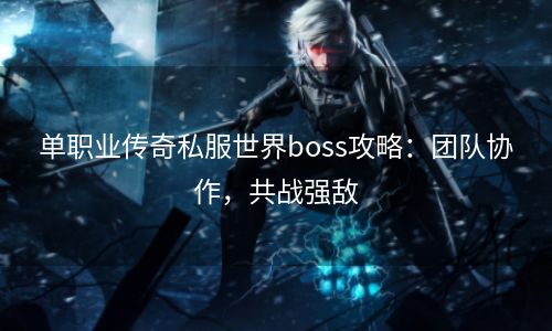 单职业传奇私服世界boss攻略：团队协作，共战强敌