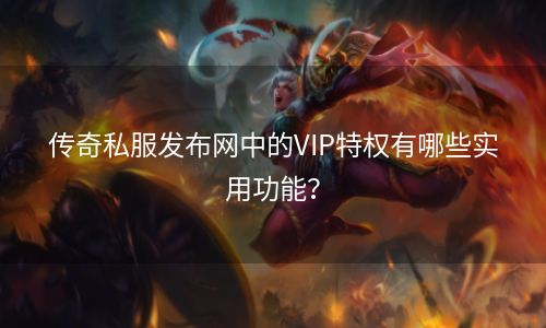 传奇私服发布网中的VIP特权有哪些实用功能？