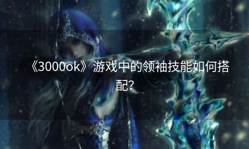 《3000ok》游戏中的领袖技能如何搭配？