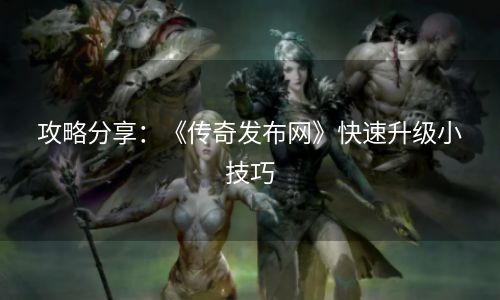 攻略分享：《传奇发布网》快速升级小技巧