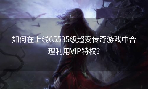 如何在上线65535级超变传奇游戏中合理利用VIP特权？