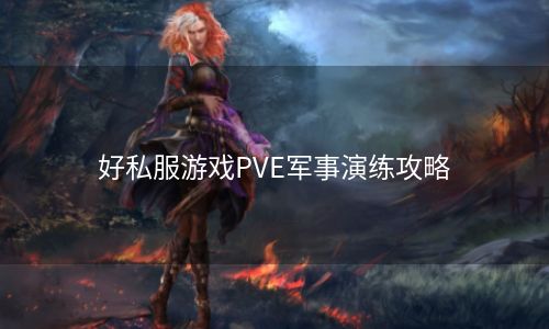 好私服游戏PVE军事演练攻略